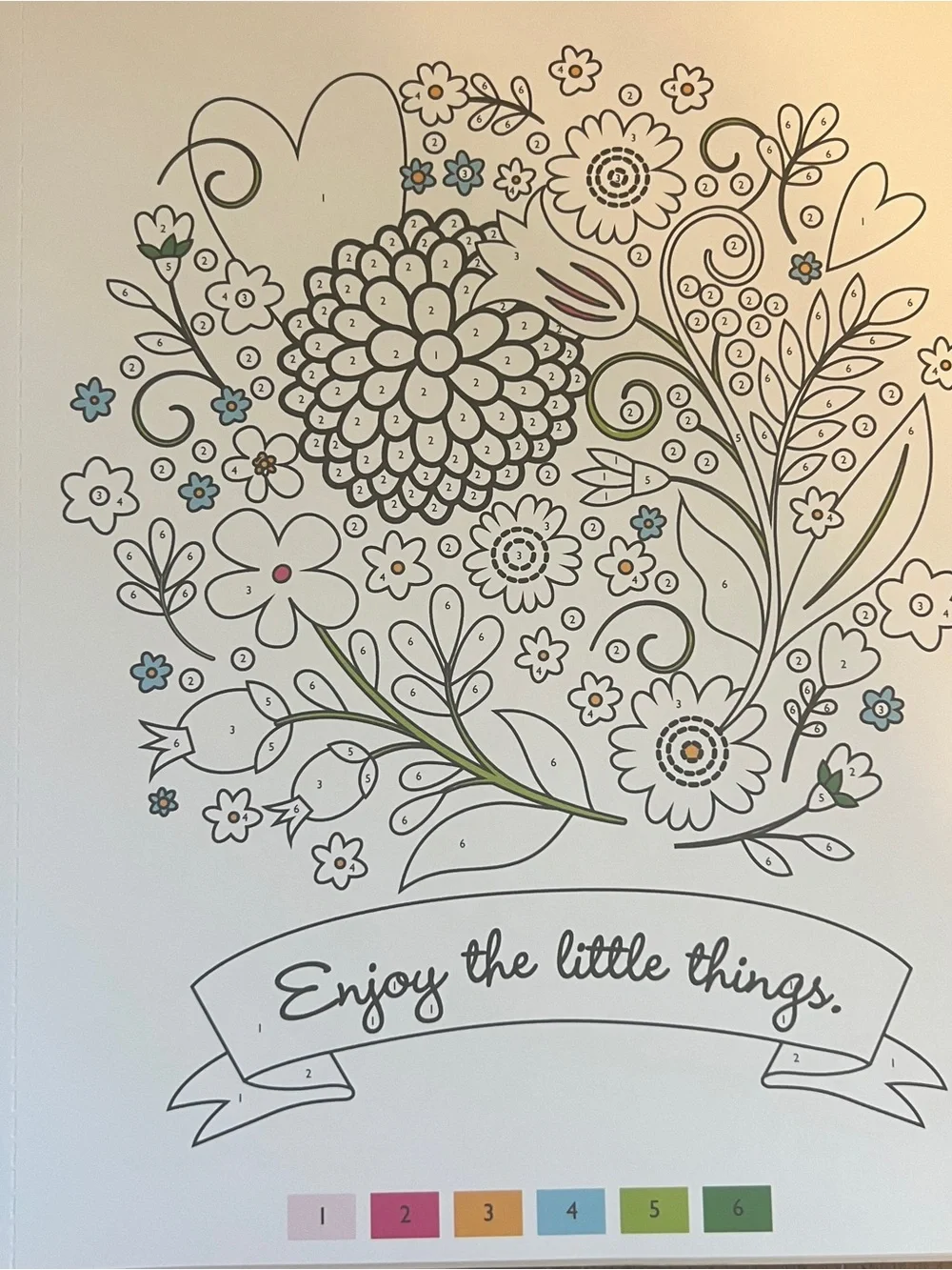 Adult Coloring Books Flowers Butterflies Birds Garden